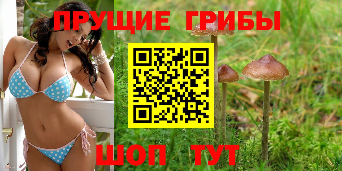 что такое наркотик  Псилоцибиновые грибы Magic Shrooms  Сегежа  Вход с VPN  Галлюциногенные грибы Psilocybe 